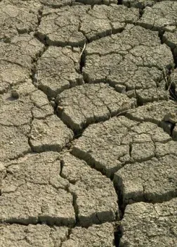 cracked dirt on ground