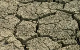 cracked dirt on ground