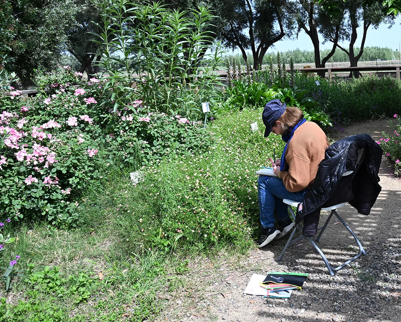 Erin Sheeran of Davis journaling in the UC Davis Bee Haven.