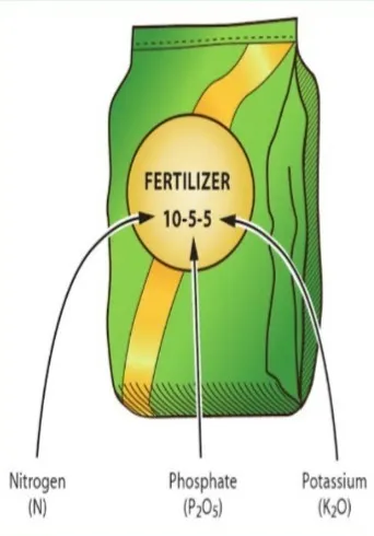 Illustration of a green and gold fertilizer bag showing ratios of 10% nitrogen, 5% phosphate, and 5% potassium.