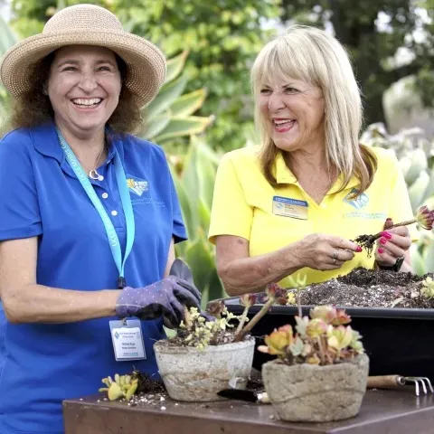 volunteers gardening