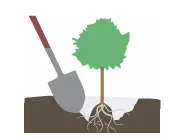 Step 1 - Mow of cut vegetation to the ground.