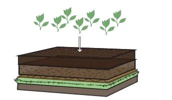 Step 6 - Plant your plants into the mulch and compost layers.