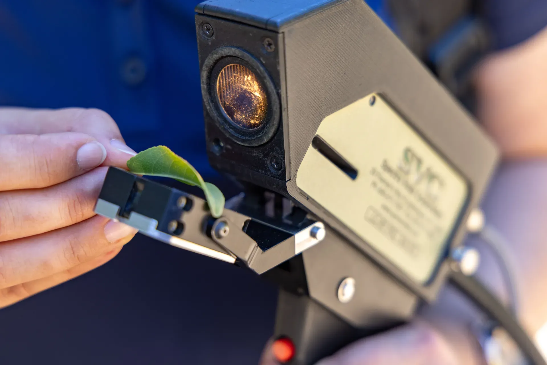 close up of a leaf monitor machine
