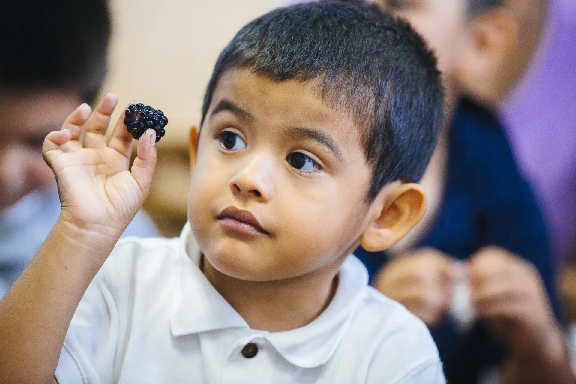 young boy holding up a single blackberry