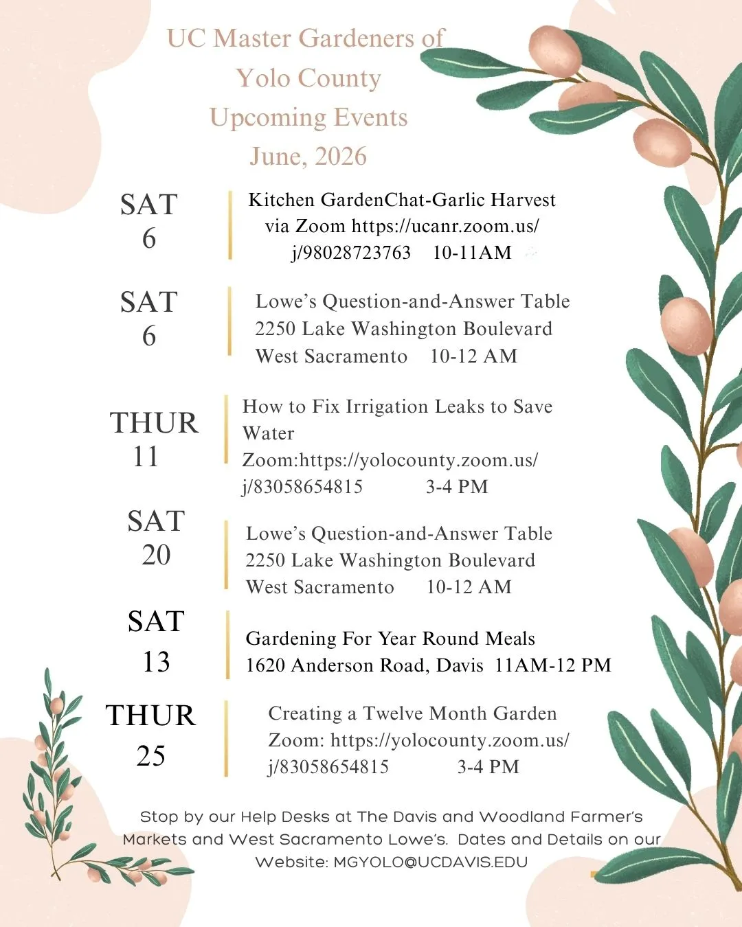 Calendar with dates on the left side and topics in the middle decorated with peach and green olive branches.