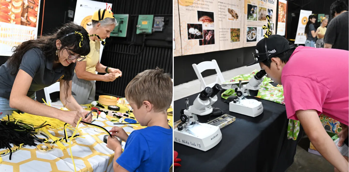 Samantha Murray (left), education and garden coordinator of the UC Davis Bee Haven, and Wendy Mather, co-program manager of the California Master Beekeeper Program, assist with children's arts and crafts projects at the California Honey Festival while a festival attendee examines a bee specimen through a microscope from the E. L. Niño lab. (Photo by Kathy Keatley Garvey)