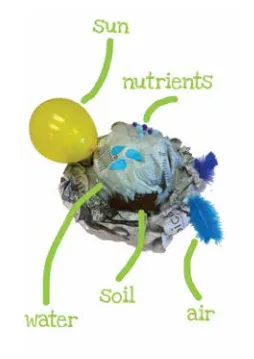 a newspaper hat with a yellow balloon (labelled "sun"), blue feather (labelled "air), black feather (labelled "soil"), blue paper water drops (labelled "water"), and small black particles (labelled "nutrients") 