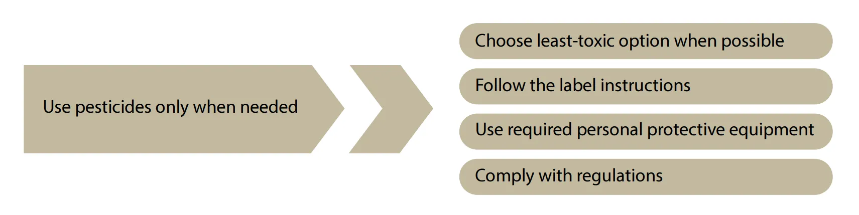 Flow chart explaining that pesticides should only be used when needed. When pesticides are used, follow four steps: choose the least-toxic option when possible, follow label instructions, use required personal protective equipment (PPE), and comply with regulations.