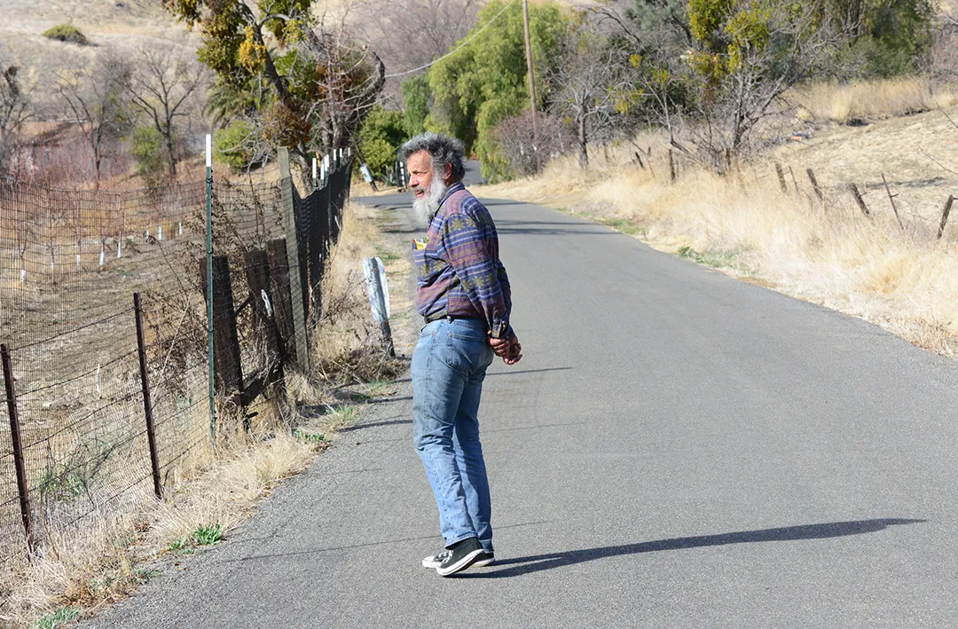 UC Davis Distinguished Professor (now emeritus) monitoring butterfly populations on Gates Canyon Road, Vacaville.
