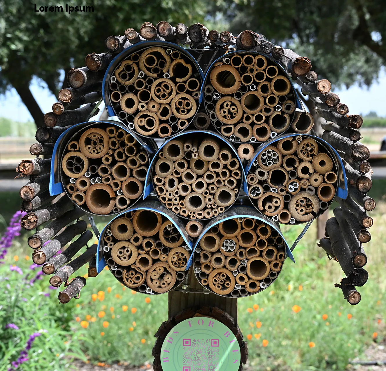 Beds for Bees, a bee condo in the UC Davis Bee Haven