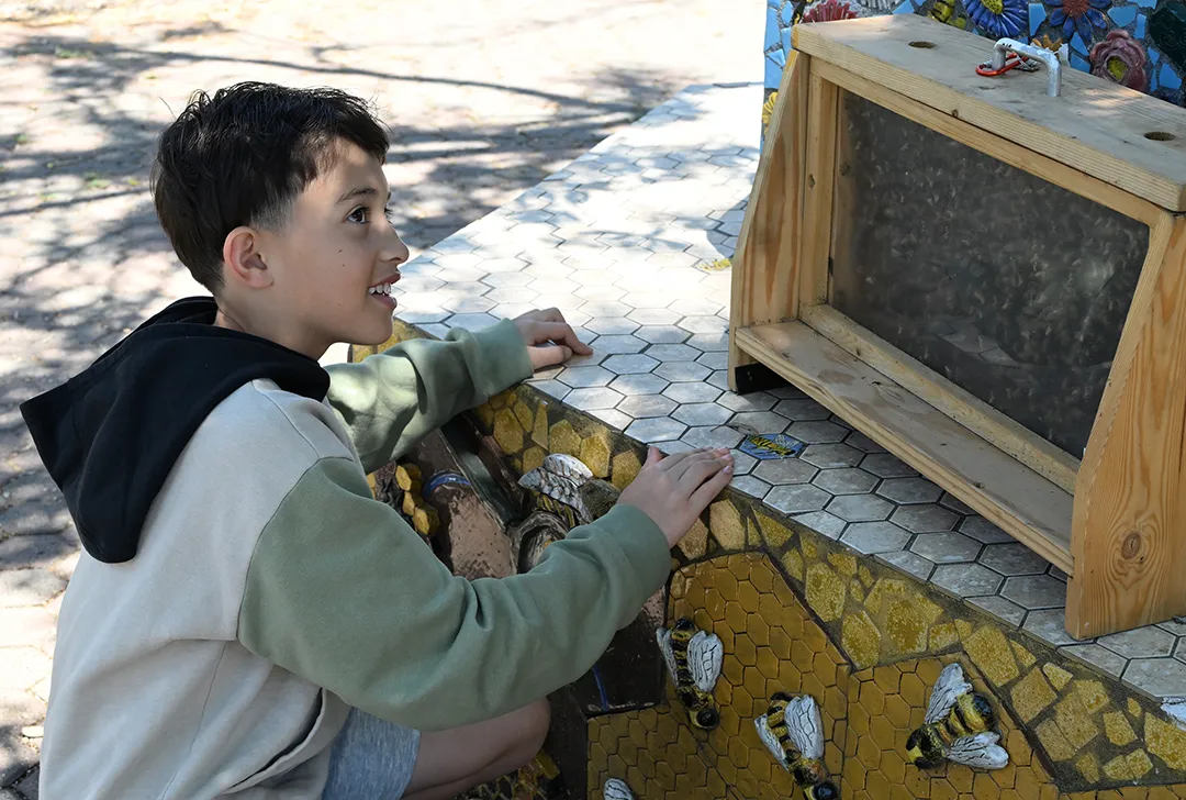 Kai Smith, 9, observing the colony of bees in the bee observation hive.