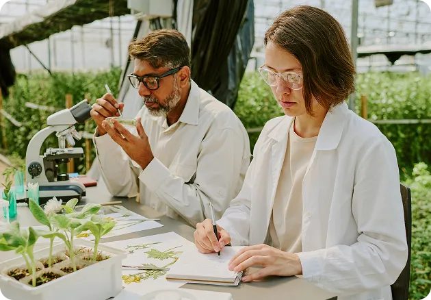 Researcher conducting botanical research inside a greenhouse