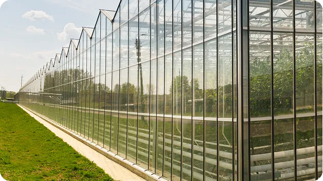 Outdoor greenhouses growing vegetables