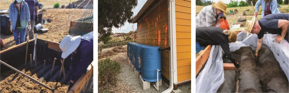 raised beds and barrels