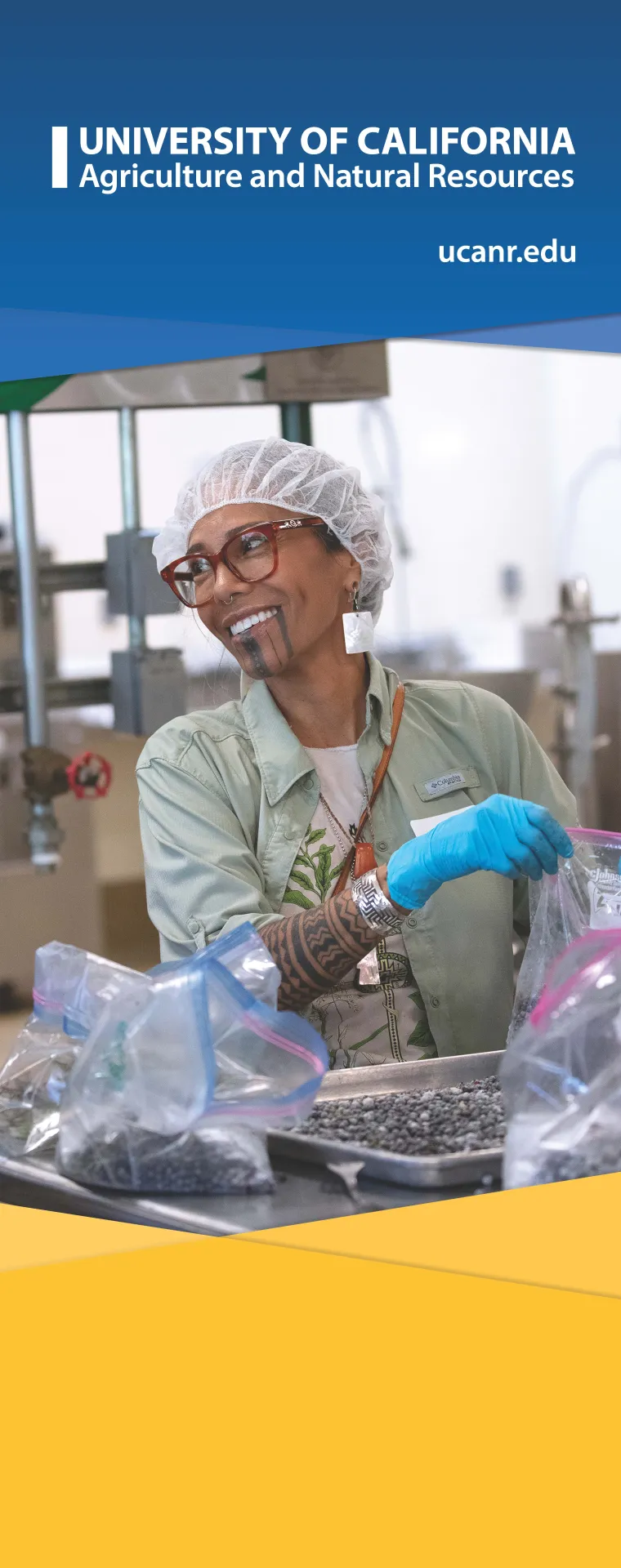 Agricultural scientist carefully weighing beans as part of crop research or quality testing