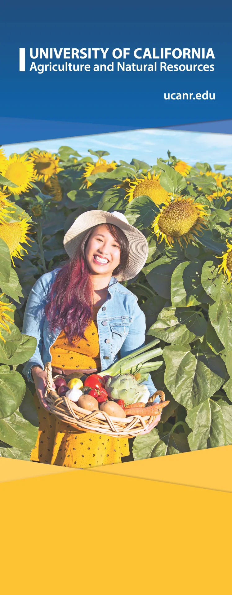 woman surrounded by sunflowers