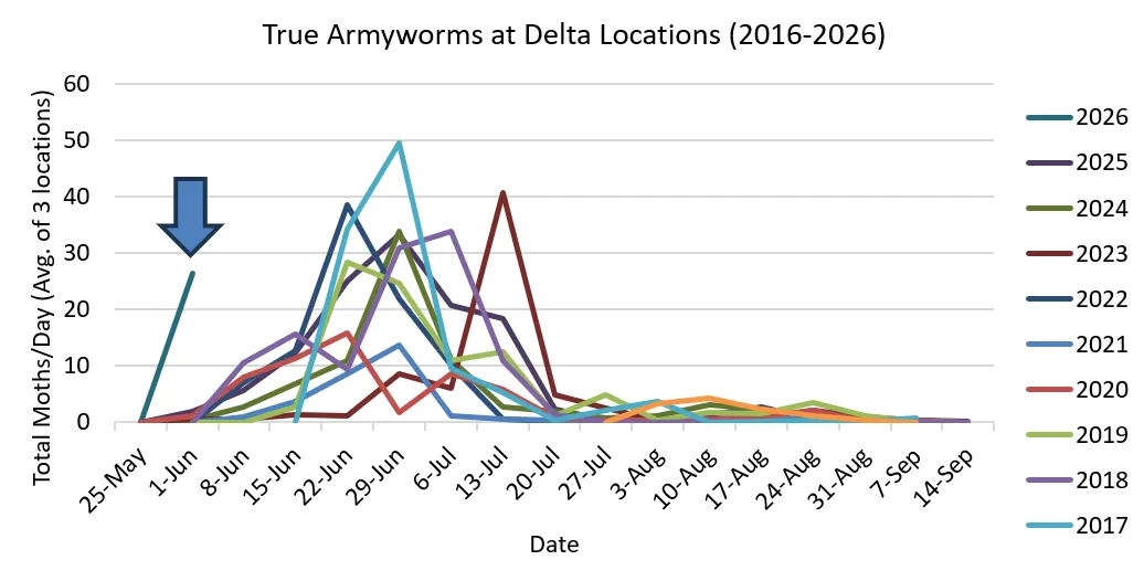 Line graph depicting armyworm trap counts from 2016-2026, where 2026 line shows an earlier start to moth flights compared to previous years.