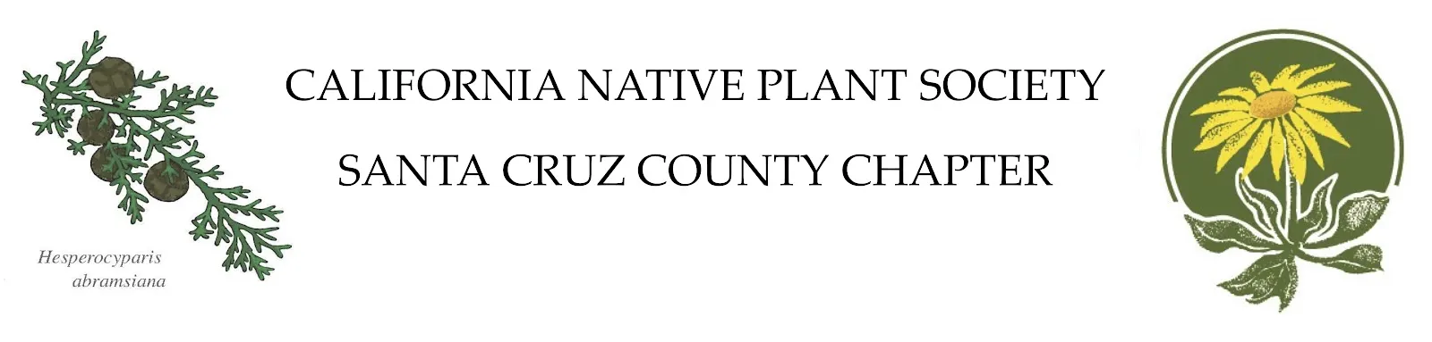 Logo for the Santa Cruz CNPS chapter