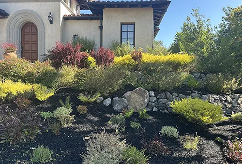 Steep hillside garden