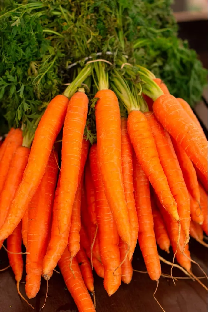 Carrots cleaned and suitable for store