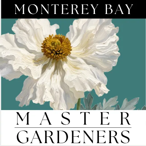 Monterey Bay Master Gardeners logo with matilija poppy