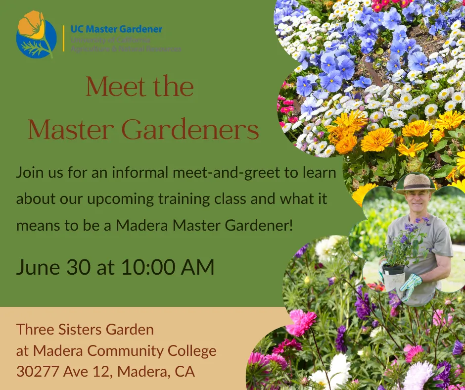 Meet the Master Gardeners (1) 6.30.26.png