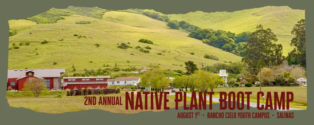 Banner design featuring a panoramic photo of the Rancho Cielo Campus with the Native Plant Boot Camp title, date and location