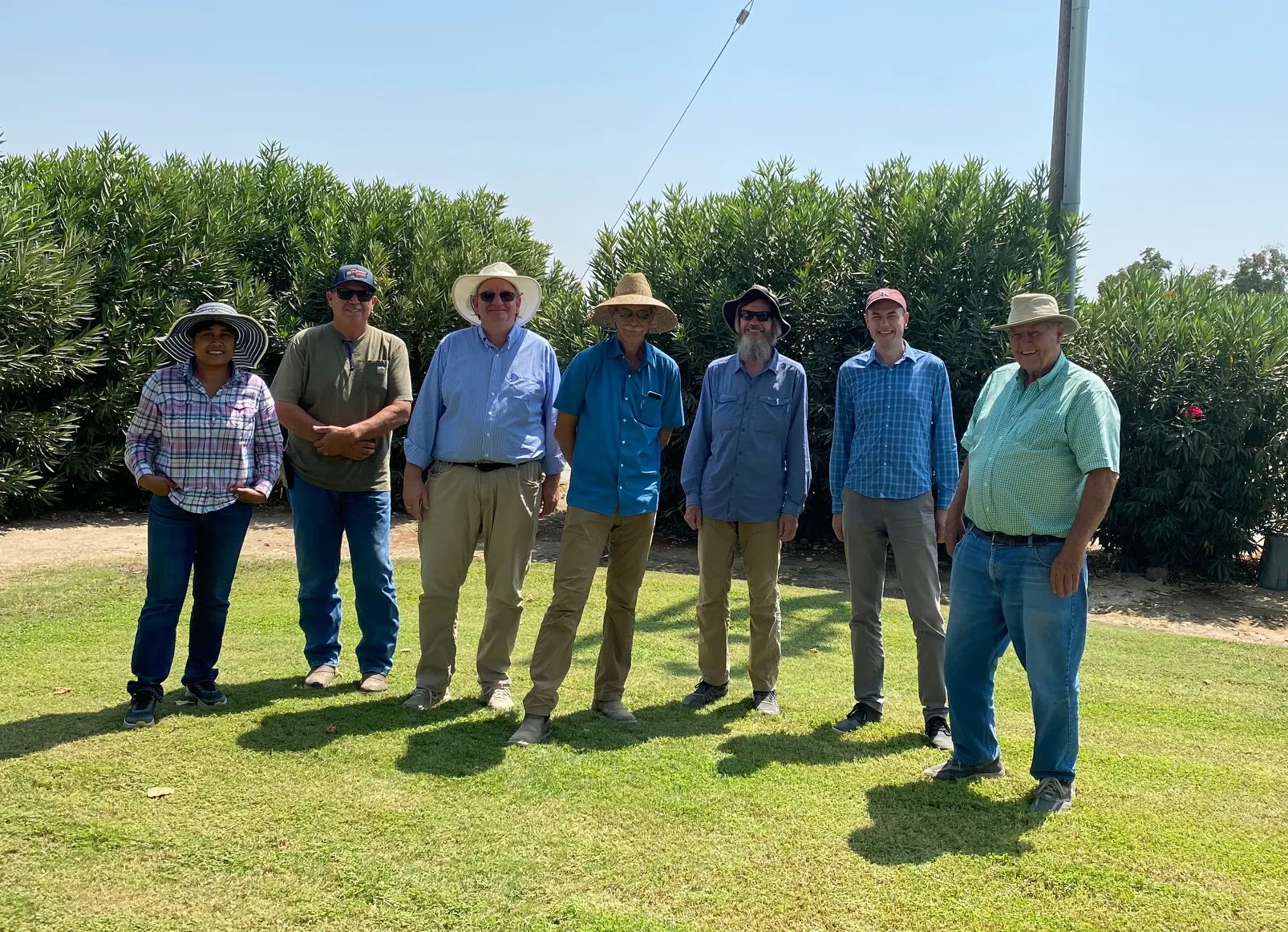 Six people wearing hats stand in a row on grass