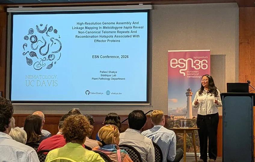 UC Davis doctoral candidate Pallavi Shakya of the Shahid Siddique lab presenting her talk at the 36th Symposium of the European Society of Nematologists, held in Egmond aan Zee, The Netherlands. She won first place for “Best Student/Early Career Talk."
