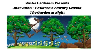 Garden at night library program for kids