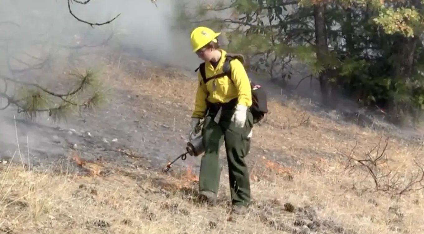 Woman working at fire edge
