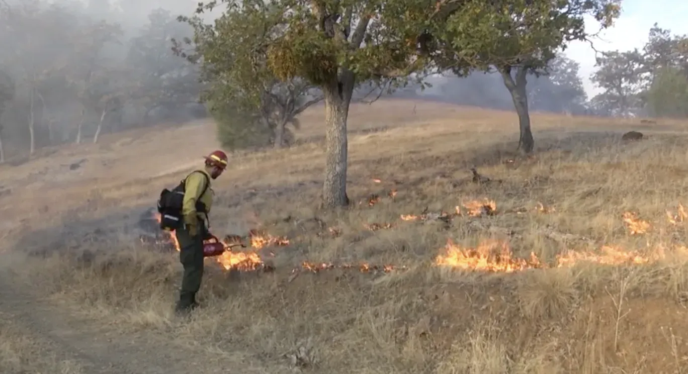 Prescribed burn on hill