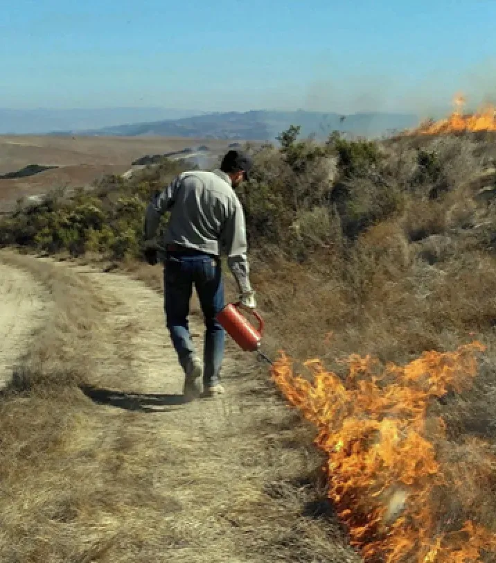 Man walking at fire line edge