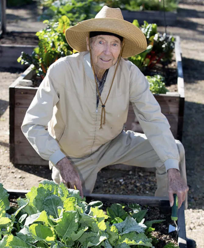 Senior Gardening