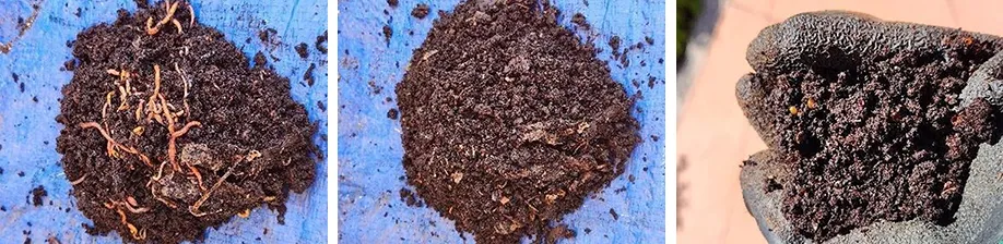 Start to Finish Vermicomposting