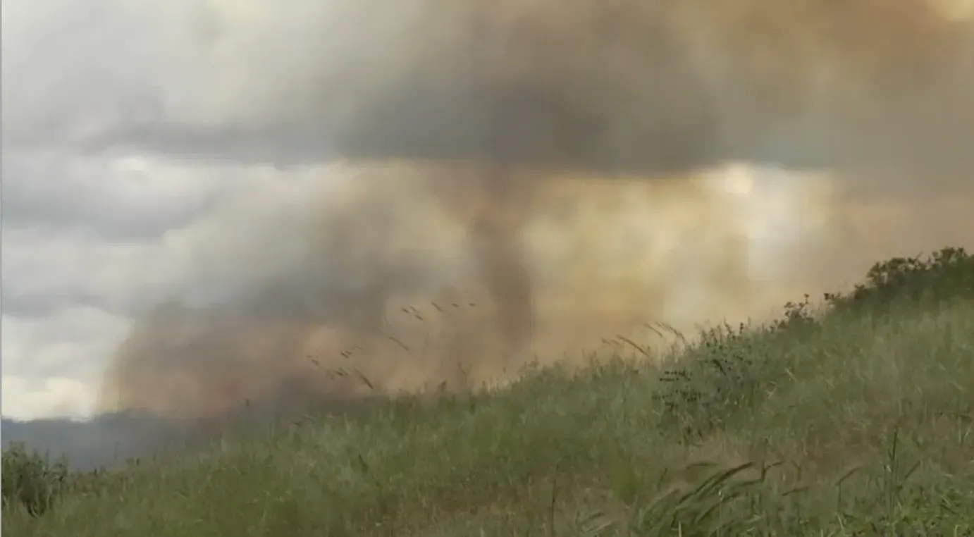 Grass wildfire