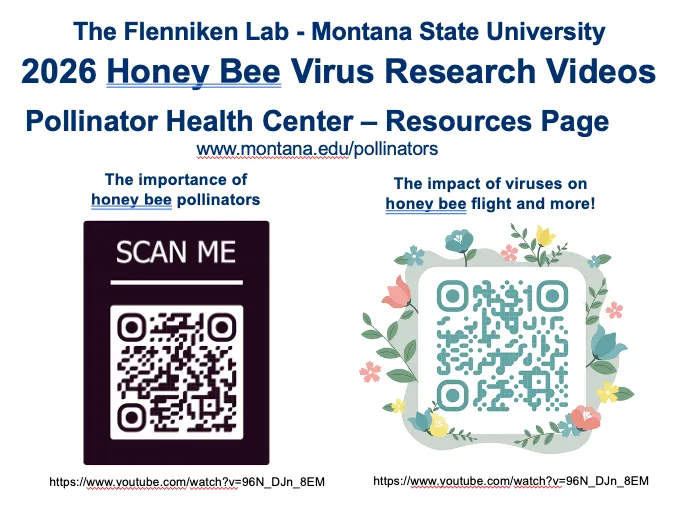A link to access Michelle Flenniken's research