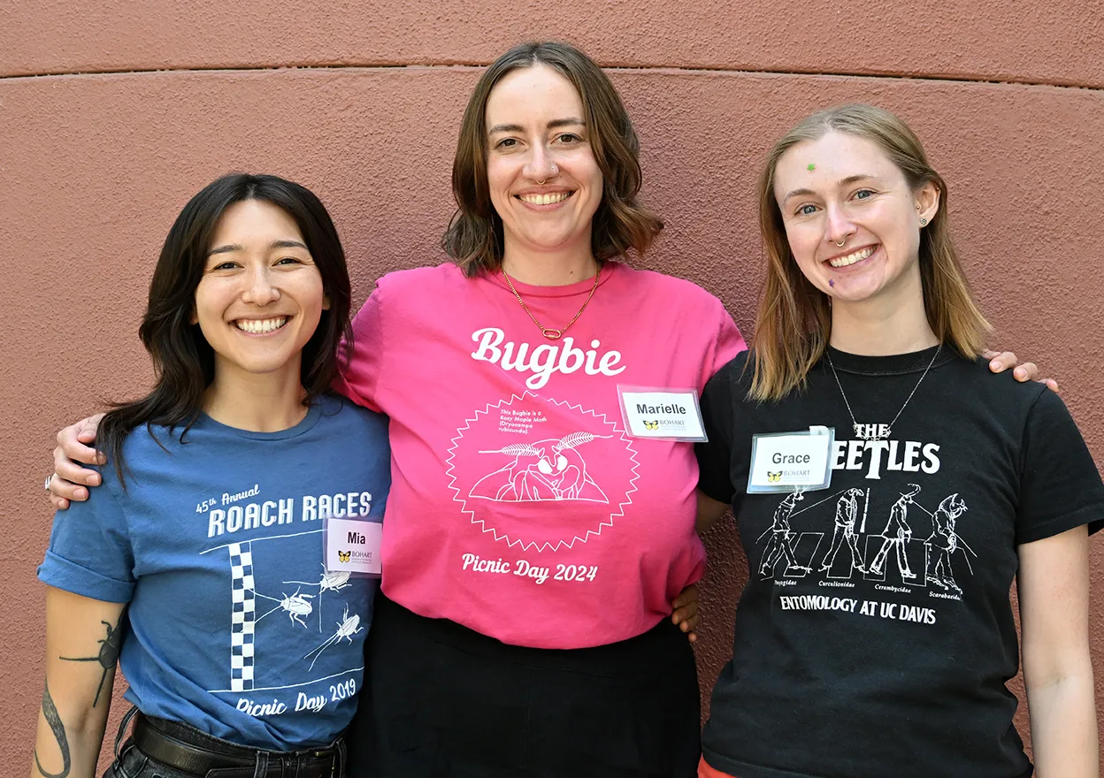 The worker bees: Mia Lippey, Marielle Hansen Friedman and Grace Horne.