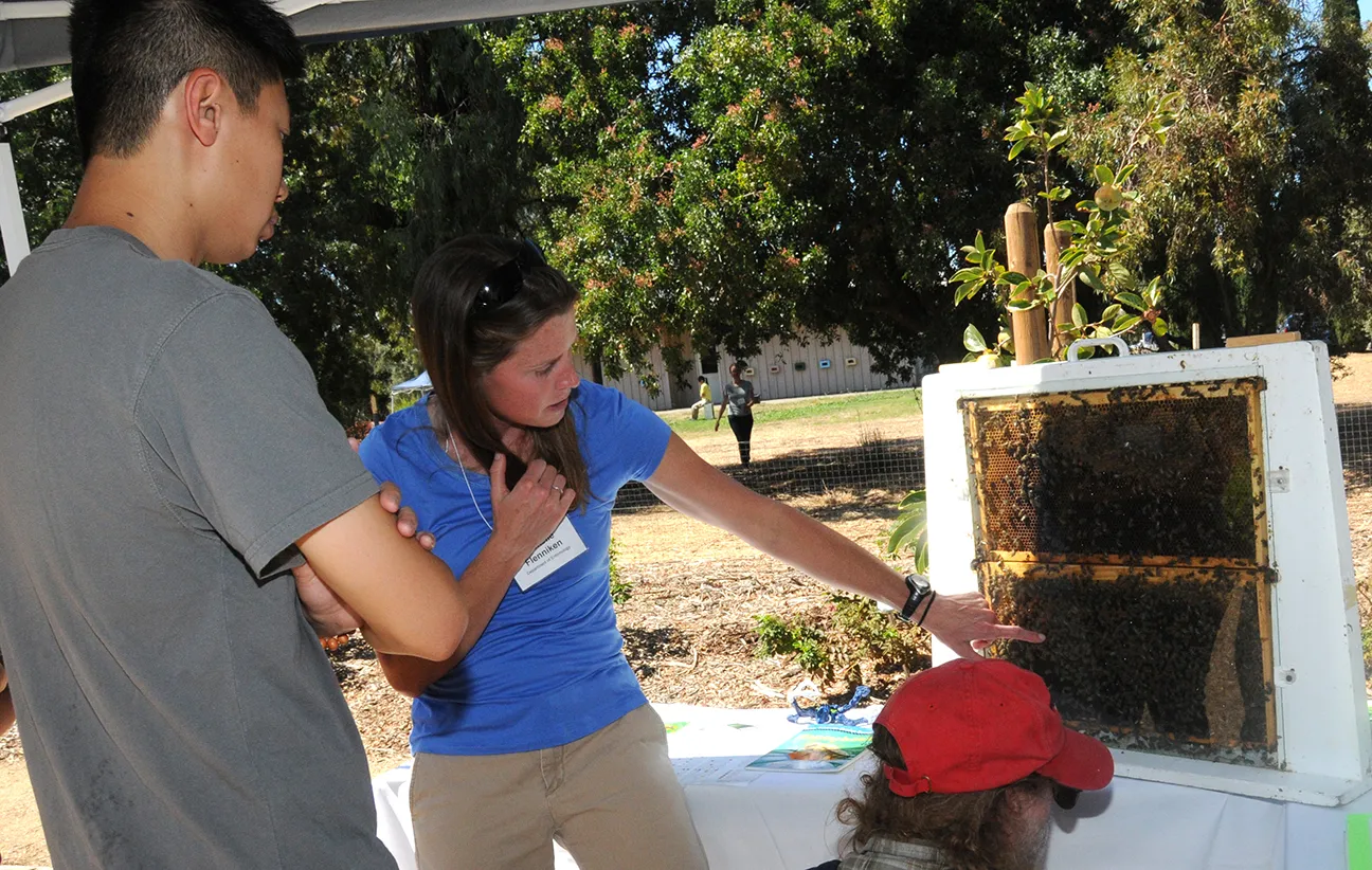 Michelle Flenniken showing a bee colony to two people.
