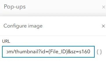 Dynamic expression for a URL