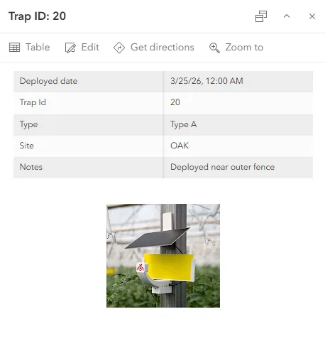 Sample popup with an image