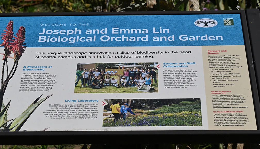 A sign at the Joe and Emma Lin Biological Orchard and Gardens, UC Davis. (BOG)