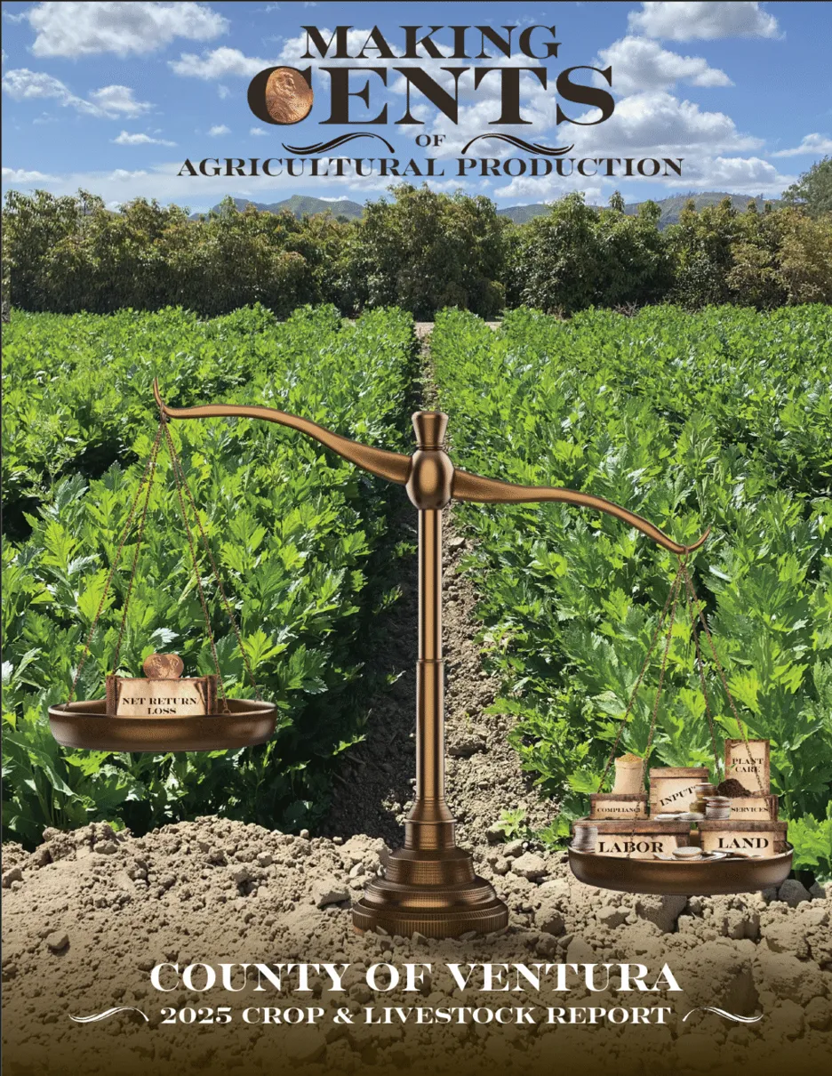 crop report