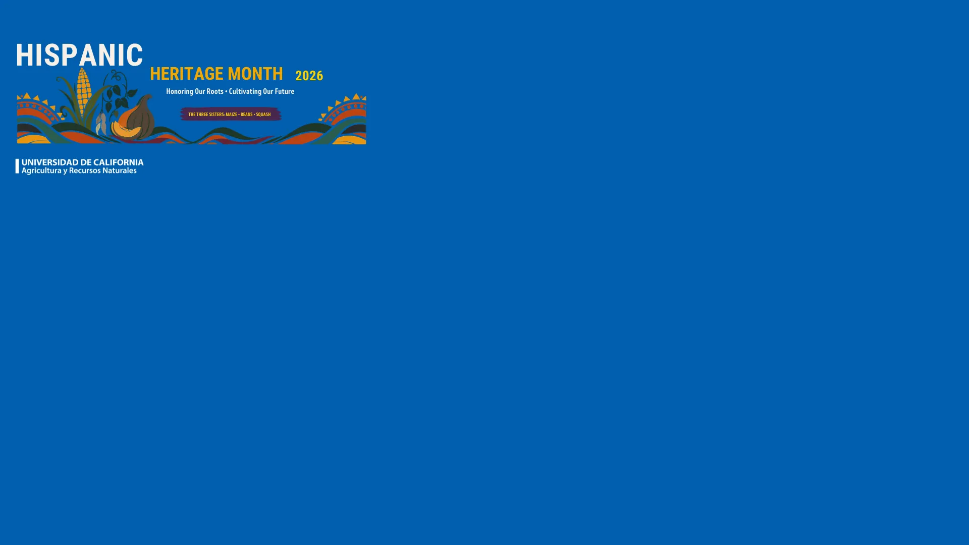 Background HHM 2026 - Dark blue tones