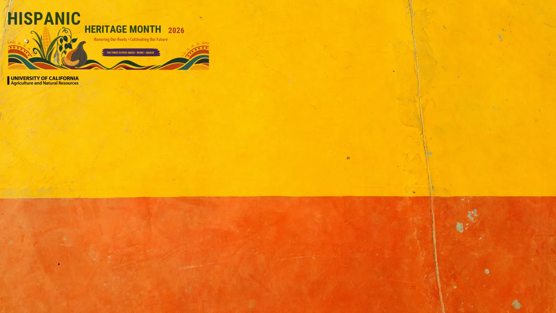 Background for HHM-26 Yellow-Orange tones