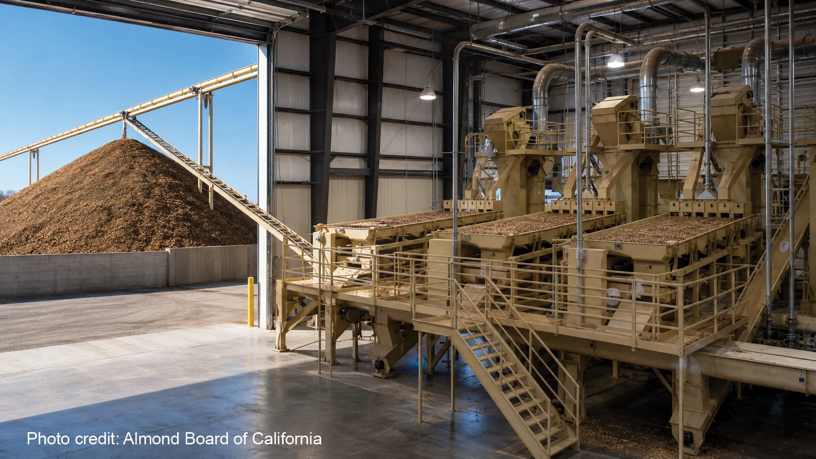 On left is a tall mound of almond hulls at the end of a conveyer running from an almond processing plant. On right are three machines, side by side, with trays full of nuts