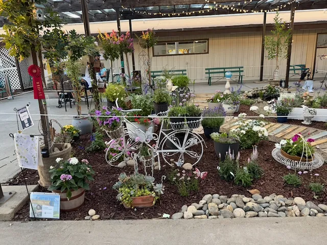 View of front left side of garden with white bicycle planter and more plants