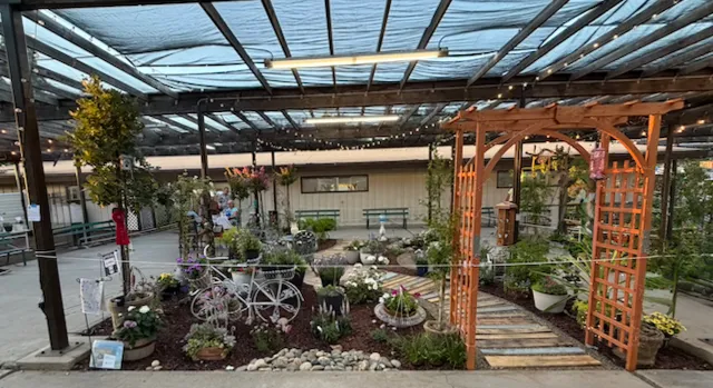 completed garden with arbor, white bicycle planter, cafe table and 2 chairs with many plants and young oak trees on the four corners