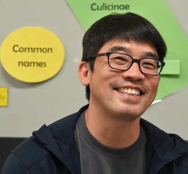 Professor Louie Yang
